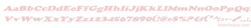 CharlemagneItalic Font – Pink Fonts on White Background