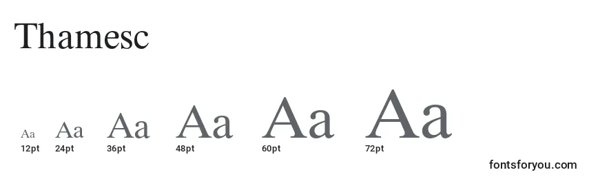 Thamesc Font Sizes