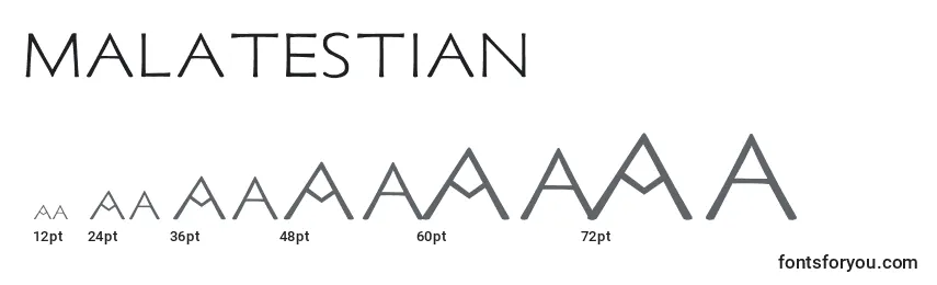 Размеры шрифта Malatestian