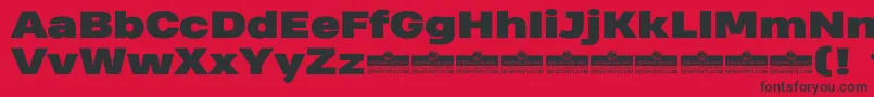 HeadingProWideBlackTrial Font – Black Fonts on Red Background