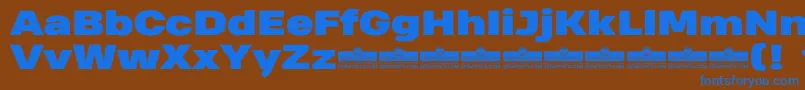 HeadingProWideBlackTrial Font – Blue Fonts on Brown Background
