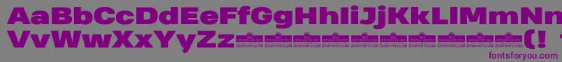 HeadingProWideBlackTrial Font – Purple Fonts on Gray Background