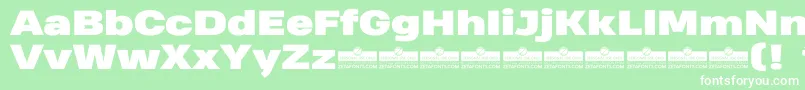 HeadingProWideBlackTrial Font – White Fonts on Green Background