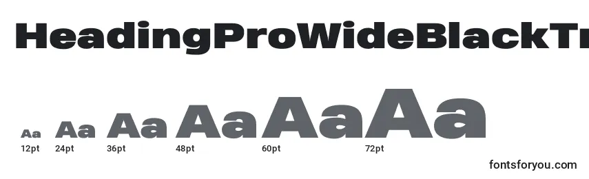 HeadingProWideBlackTrial Font Sizes