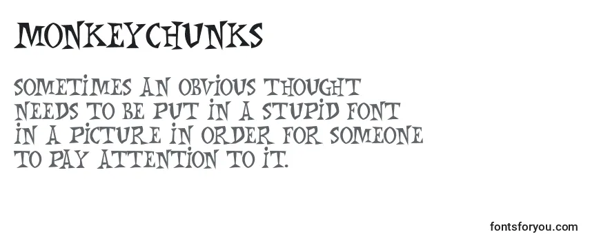 Review of the MonkeyChunks Font