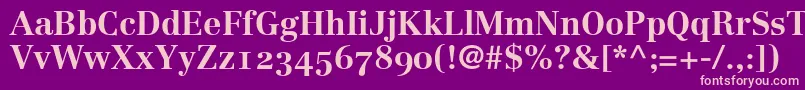 LinotypeCentennial75BoldOldstyleFigures Font – Pink Fonts on Purple Background