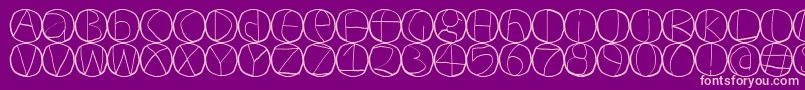 Circulum-Schriftart – Rosa Schriften auf violettem Hintergrund