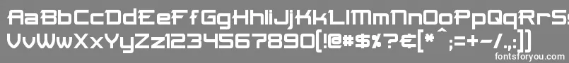 フォントSkir – 灰色の背景に白い文字