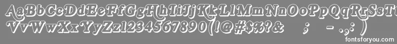 RoyalAcidbathOutline Font – White Fonts on Gray Background