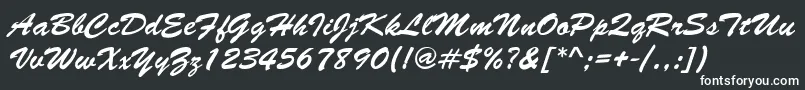 フォントLettermotionNormalItalic – 黒い背景に白い文字