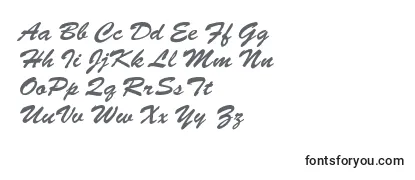 Обзор шрифта LettermotionNormalItalic