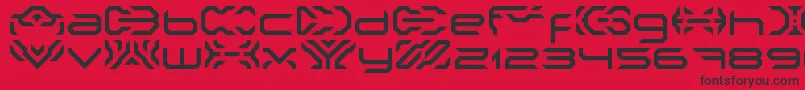 NakkiLdr Font – Black Fonts on Red Background