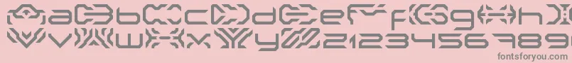 NakkiLdr-Schriftart – Graue Schriften auf rosa Hintergrund