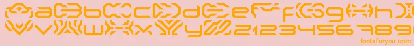 NakkiLdr Font – Orange Fonts on Pink Background