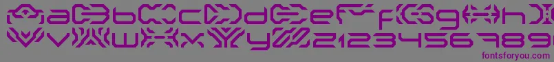 Шрифт NakkiLdr – фиолетовые шрифты на сером фоне