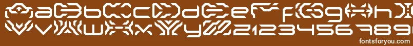 NakkiLdr Font – White Fonts on Brown Background
