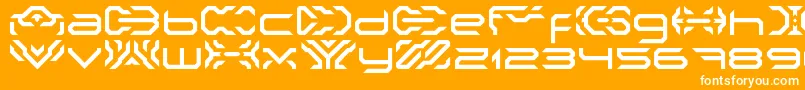 Шрифт NakkiLdr – белые шрифты на оранжевом фоне