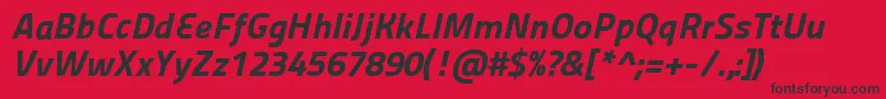 Panefresco999wtItalic Font – Black Fonts on Red Background