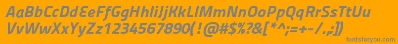 Panefresco999wtItalic Font – Gray Fonts on Orange Background