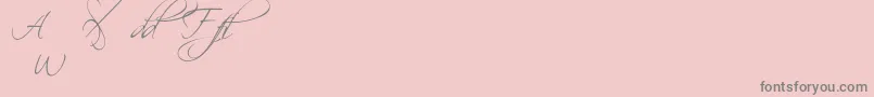 Scripalt Font – Gray Fonts on Pink Background