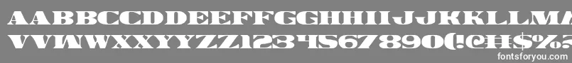 Legalv2 Font – White Fonts on Gray Background