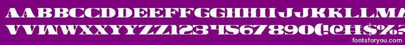 Legalv2 Font – White Fonts on Purple Background