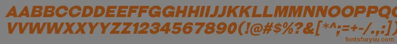 GalderglynnTitlingBlIt Font – Brown Fonts on Gray Background