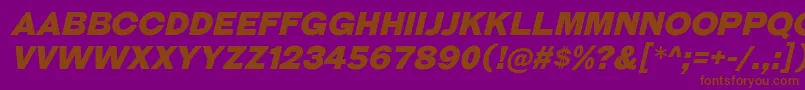GalderglynnTitlingBlIt Font – Brown Fonts on Purple Background
