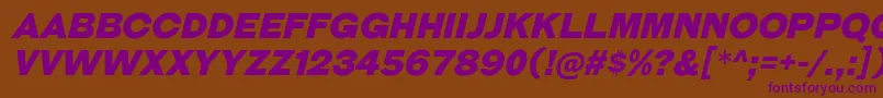 GalderglynnTitlingBlIt Font – Purple Fonts on Brown Background