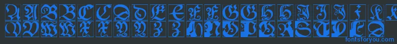 Schoenspergercaps Font – Blue Fonts on Black Background