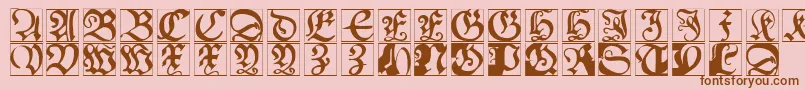 Schoenspergercaps Font – Brown Fonts on Pink Background