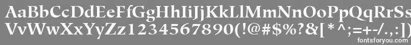 HiroshigeLtBold-fontti – valkoiset fontit harmaalla taustalla
