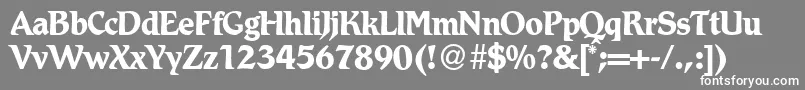 フォントRomdbNormal – 灰色の背景に白い文字