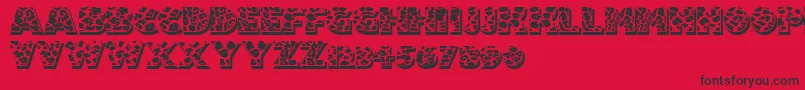 Fuzzyhandcuffs Font – Black Fonts on Red Background