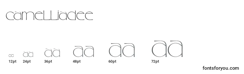 Camelliadee Font Sizes