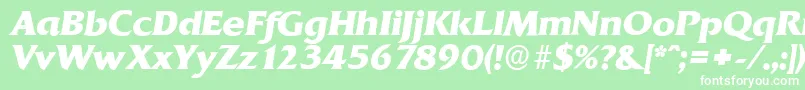 QuadratserialXboldItalic Font – White Fonts on Green Background