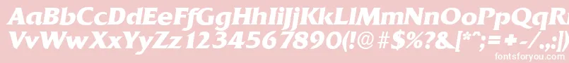 QuadratserialXboldItalic Font – White Fonts on Pink Background