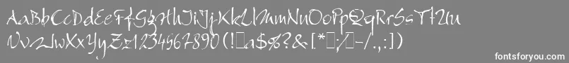 フォントBergellLetPlain.1.0 – 灰色の背景に白い文字