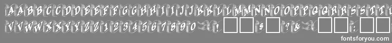 フォントDanielRegular – 灰色の背景に白い文字