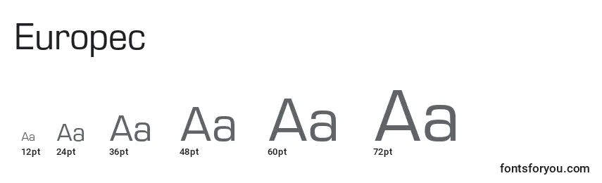 Europec Font Sizes