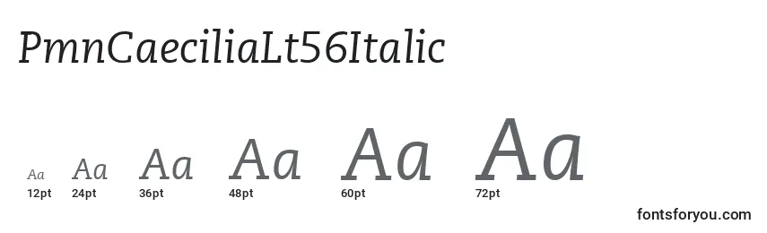 Größen der Schriftart PmnCaeciliaLt56Italic