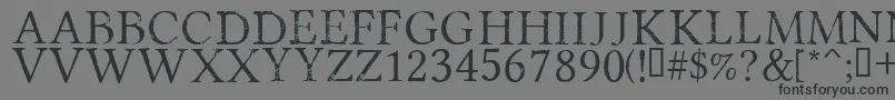 PortmanteauRegular-fontti – mustat fontit harmaalla taustalla
