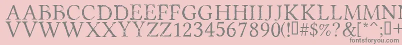 PortmanteauRegular Font – Gray Fonts on Pink Background