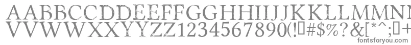 PortmanteauRegular Font – Gray Fonts on White Background