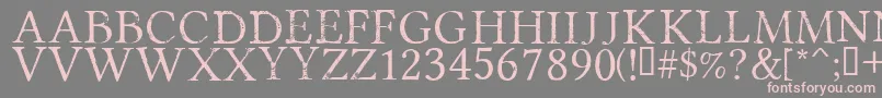 フォントPortmanteauRegular – 灰色の背景にピンクのフォント