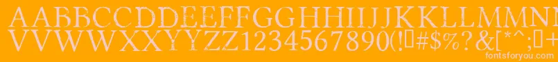 PortmanteauRegular Font – Pink Fonts on Orange Background