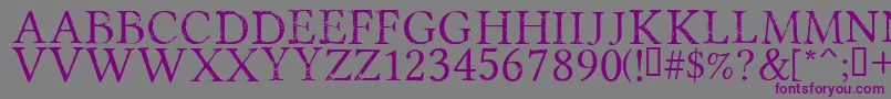 Czcionka PortmanteauRegular – fioletowe czcionki na szarym tle