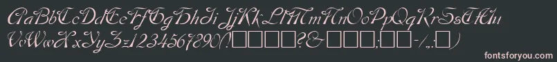 Dos Font – Pink Fonts on Black Background