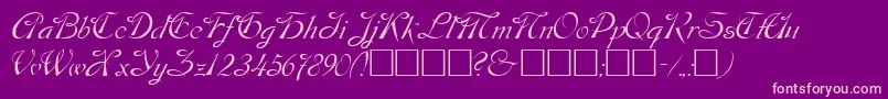 Dos Font – Pink Fonts on Purple Background