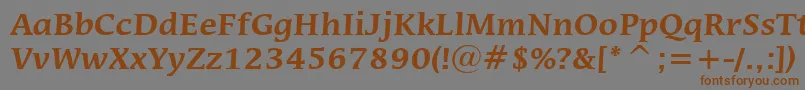 フォントMiraraeBoldBt – 茶色の文字が灰色の背景にあります。